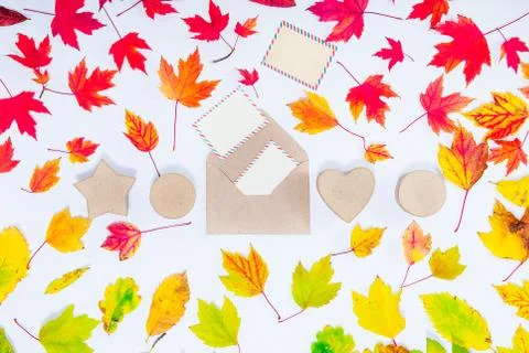 Creative Top view autumn composition. Develope with flying out blank cards an Stock Photos