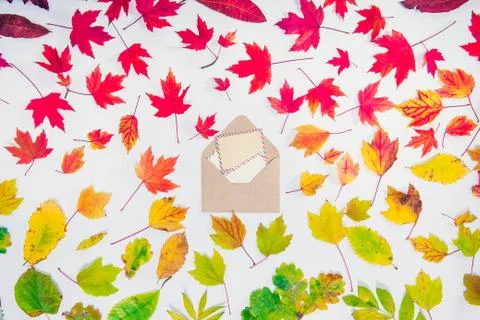 Creative Top view autumn composition - craft develope with blank empty cards Stock Photos