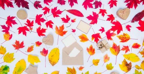 Creative Top view autumn flat lay. Develope with flying out blank cards and h Foto stock