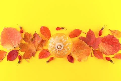Creative Top view flat lay autumn concept composition on yellow background. Foto stock