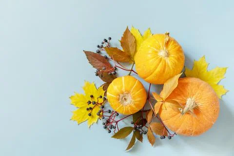Creative top view flat lay autumn composition on a blue paper background. Aut Stock Photos