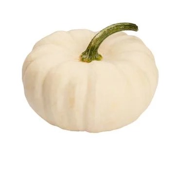 Creative Top view flat lay pumkin composition. Stock Photos