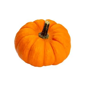Creative Top view flat lay pumkin composition. Stock Photos