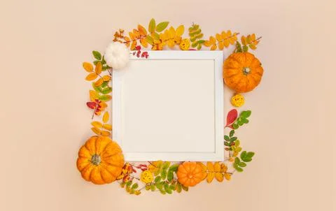 Creative Top view flat lay autumn composition white frame. Pumpkins dried ora 스톡 사진