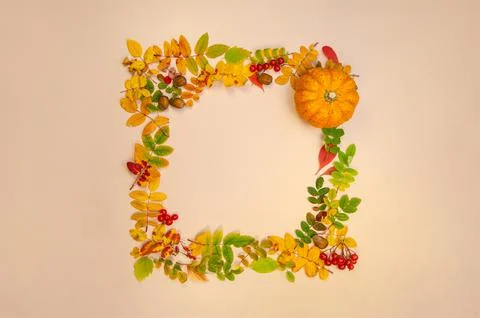 Creative Top view flat lay autumn composition frame. Pumpkins dried orange fl 스톡 사진