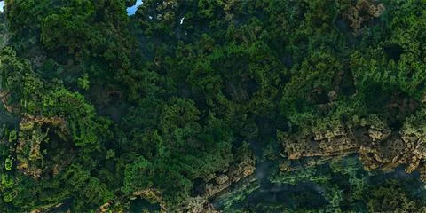 Creative tropical forest square patern, view from top. Nature spring concept. Stock Illustration