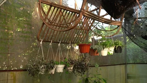 Creative use of old wooden settee to hang pots and plants Stock Footage 270255629