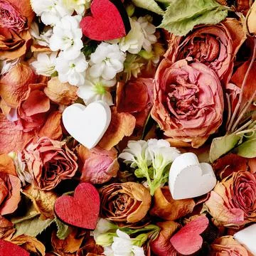 Creative Valentines day layout with dry flowers Stock Photos