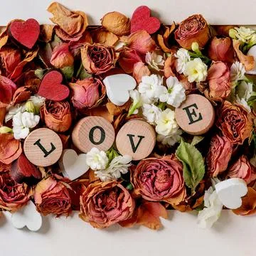 Creative Valentines layout with dry roses flowers 스톡 사진