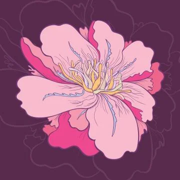 Creative Vector Flower Stock Illustration