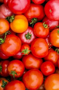 Creative vegetable background from ripe tomatoes, place for text. Stock Photos