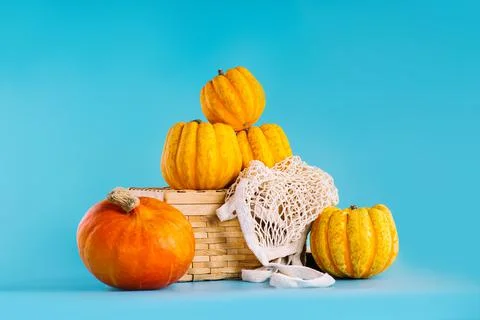 Creative vegetable fall food concept.Various varieties of pumpkins in a basket Stock Photos