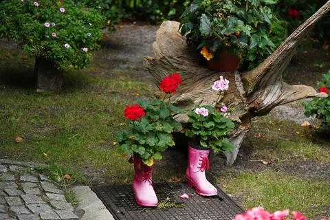 Creative way to use old rubber boots as a cache-pot for flowers Stock Photos