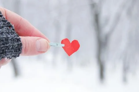 Creative winter background or valentine's day greeting card. Stock Photos