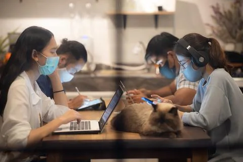 Creative worker team wearing face mask, working at business co-working space Stock Photos