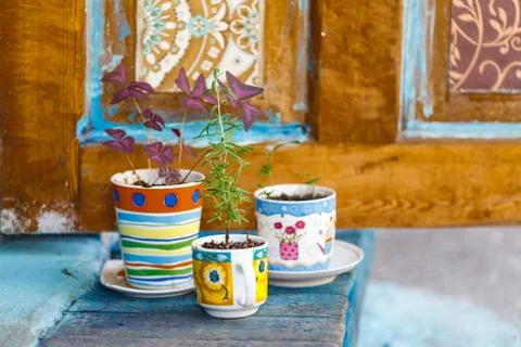 Creative Workshop design with flowers in cup Stock-Fotos
