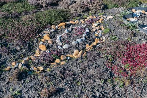 A creatively arranged circular pattern of pebbles, forming a heart shape at.. Foto stock