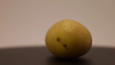 Creativity unleashed with  as a potato takes center stage in a unique artistic j Stock Footage 328634804