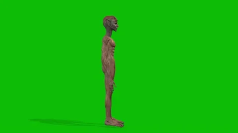 CREATURE ALIEN LOOKING FOR SOMEONE Stock Footage 144024895