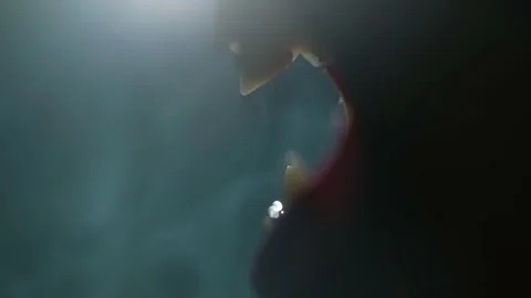 Creature bares his teeth and growls Stock Footage 172155048