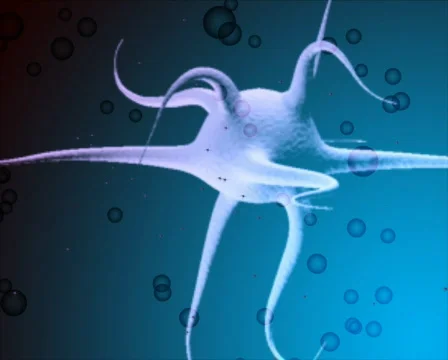 Creature floating in water Video stock 557963