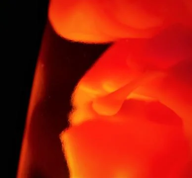 Creature of light Stock Photos