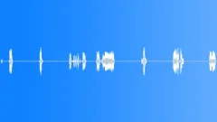 CREATURE Sound Effect
