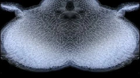 A creature thing changes - interesting, B&amp;W, room for titles, slowly evolves Stock Footage 255902180