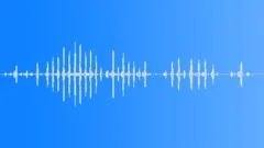 Creature,Fantasy Fly,Flying 3 Sound Effect