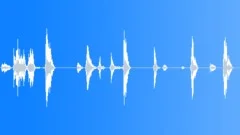 Creature,Lrg,Breaths-Efforts,Chuff 1Sound Effect