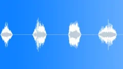 Creature,Oodle Bird,Calls,Defensive Sound Effect