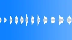 Creature,Oodle Bird,Calls,Peaceful 1 Sound Effect