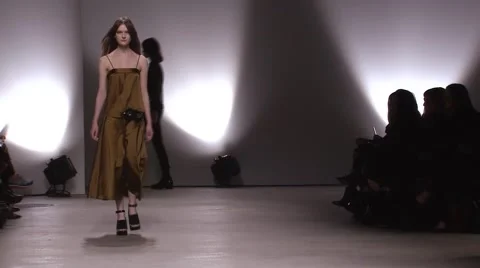 Creatures of the Wind Fashion Show Fall 2015 Collection NYFW 04 Stock Footage 57116110