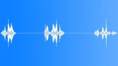CreatureSnarls3XSound Effect