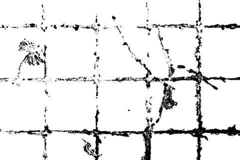 Crecked wall pattern on isolated white background 스톡 일러스트