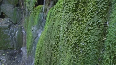 Creeck waterfalls, stream falls, drops, musk Video stock 83043904