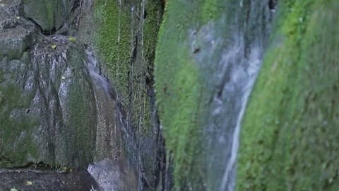Creeck waterfalls, stream waterfall, drops, musk Stock-Footage 83043138