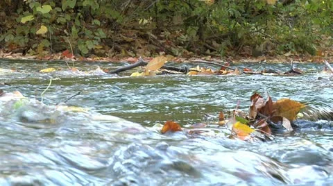 Creek 001 Stock Footage 12594404