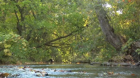 Creek 002 Stock Footage 12594386