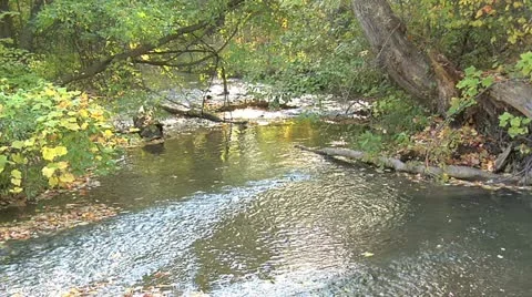 Creek 007 Stock Footage 12608824