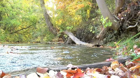 Creek 009 Stock Footage 12608948