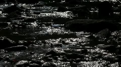 Creek 01 backlight Stock Footage 10797762