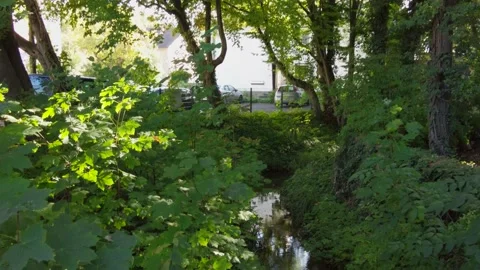 Creek #1 Stock Footage 164258157