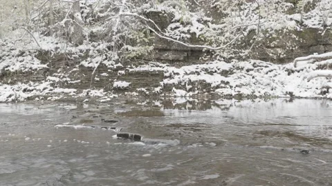 The Creek 1 Stock Footage 221289157