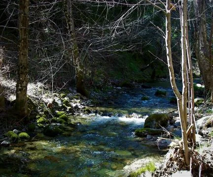 CREEK 1 Foto stock