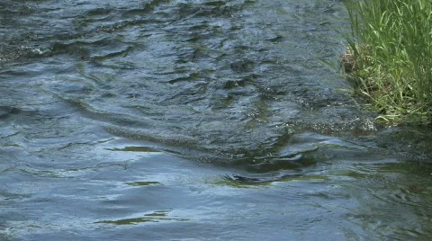 Creek 2 Stock Footage 731167