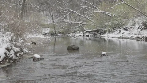 The Creek 2 Stock Footage 221292786