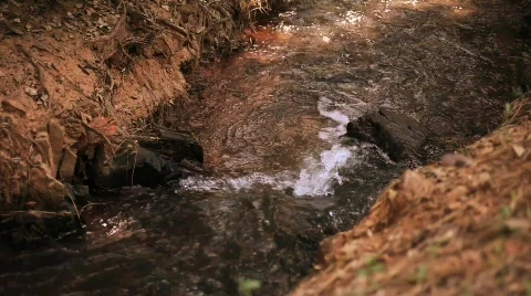 Creek 4 Stock Footage 583450