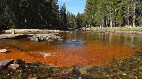 Creek #4, Yosemite Stock Footage 12090832