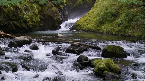 Creek 60p Stock Footage 1037427